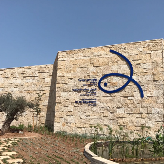 Biblical Zoo Aquarium. Jerusalem, Israel (2017)